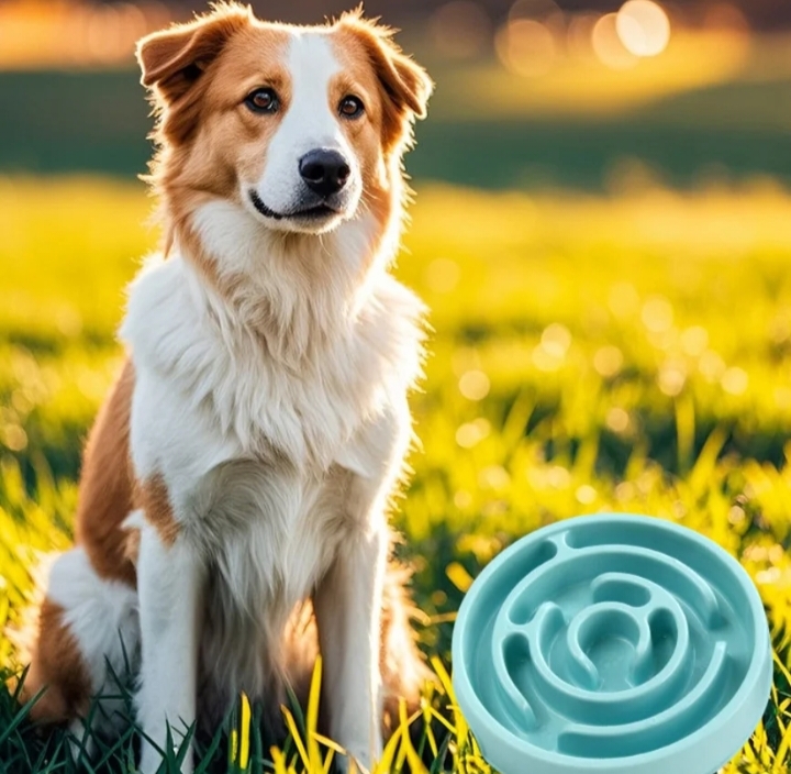 Ciotola Slow Feeder per Cani Antiingozzamento