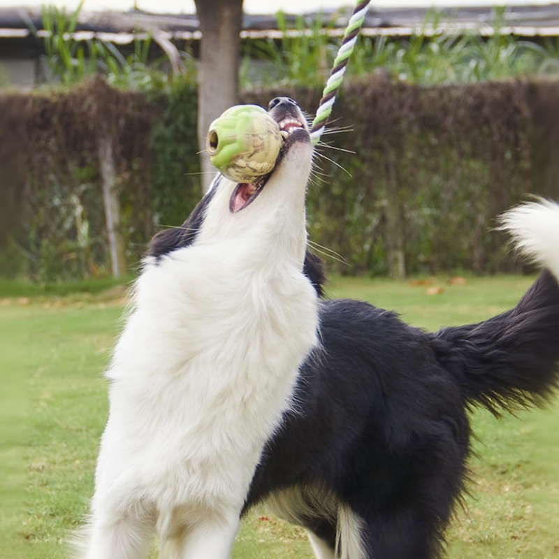 Corda Intrecciata per Cani Gioco Tira e Molla - immagine 4