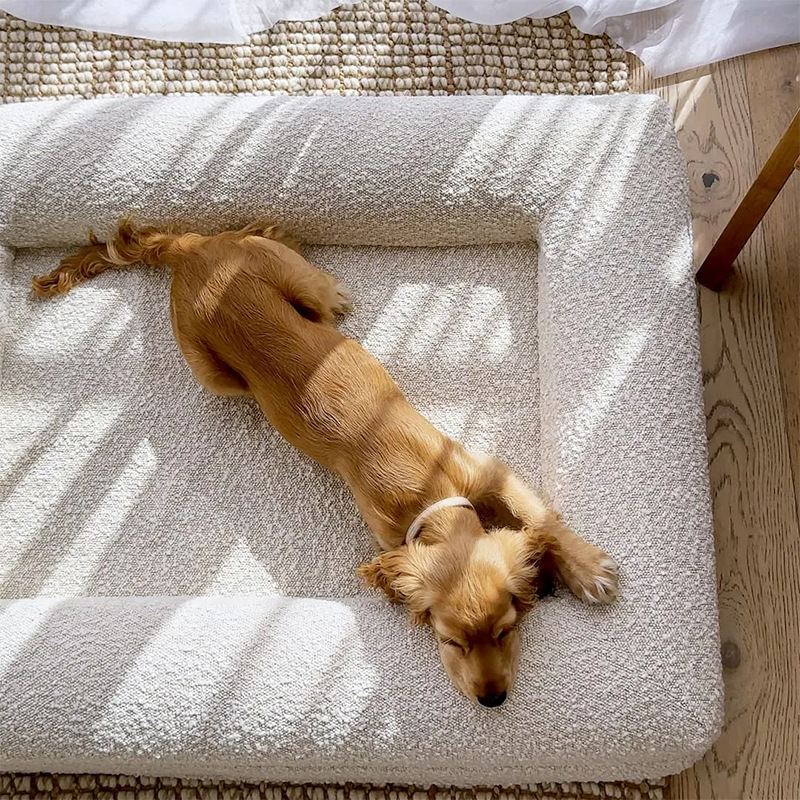 Cuscino Ortopedico Memory Foam per Cani