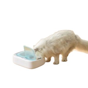 Distributore Automatico Croccantini con Timer