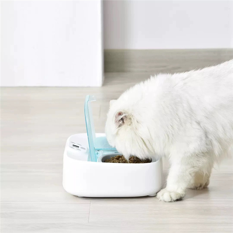 Distributore Automatico Croccantini con Timer - immagine 3