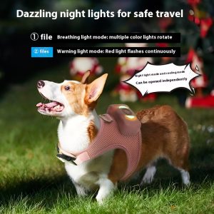 Pettorina Antitiro per Cani Regolabile Imbottita