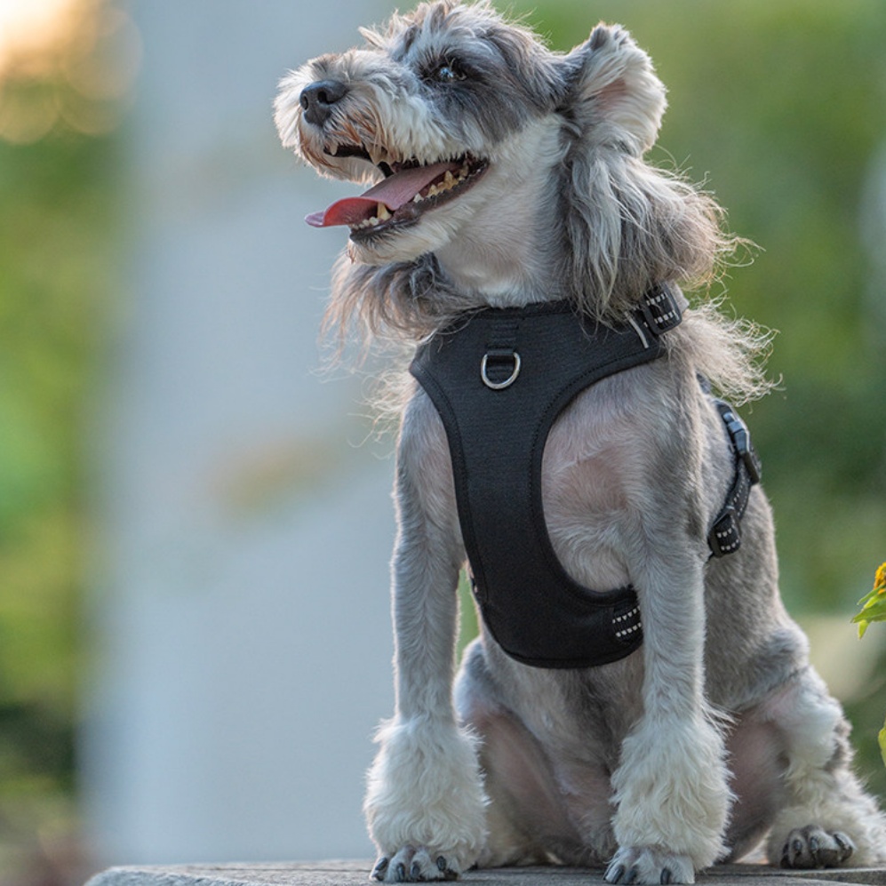 Pettorina Antitiro per Cani Regolabile Imbottita - immagine 3